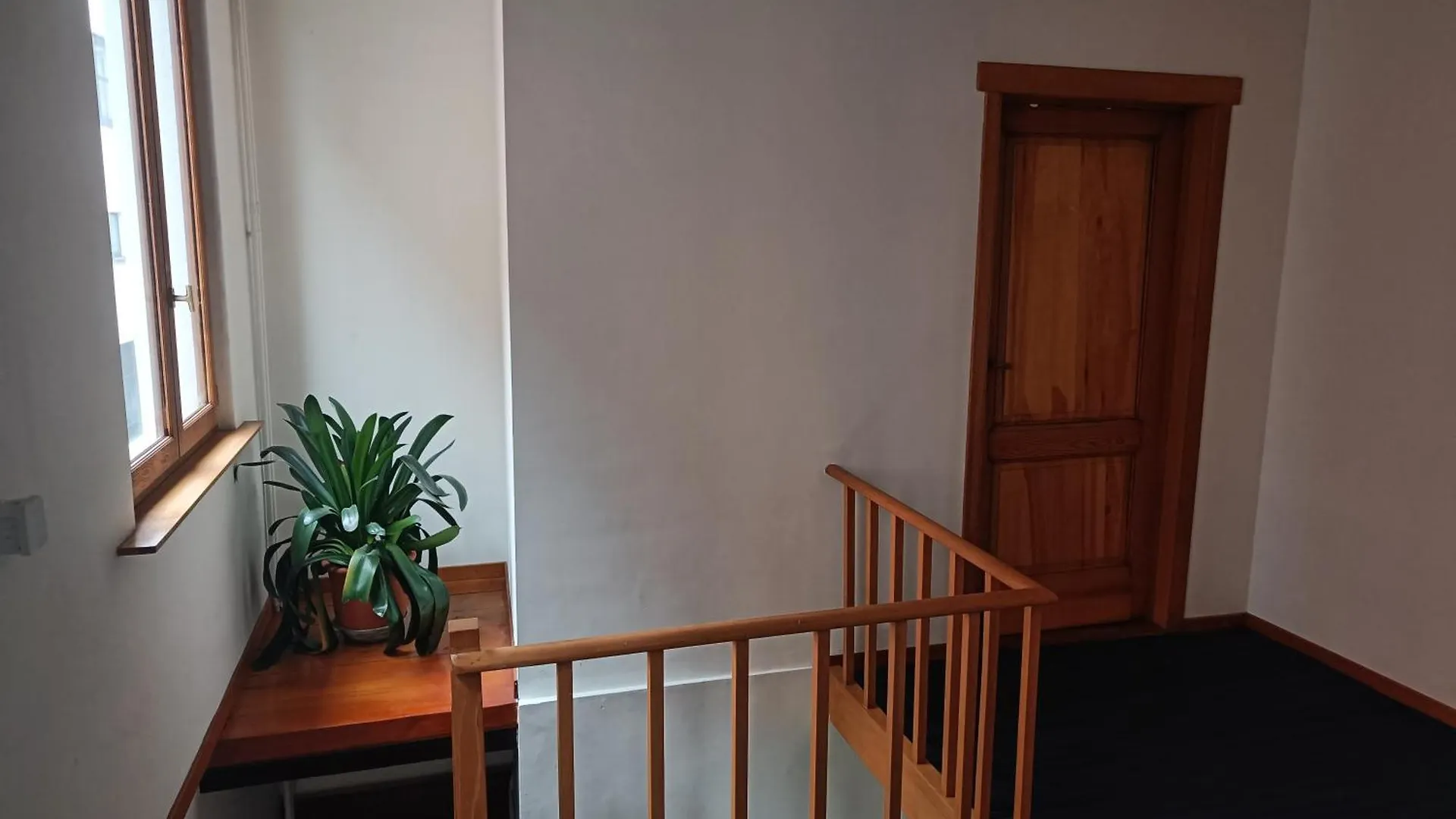 Viktoria Hostel Anversa
