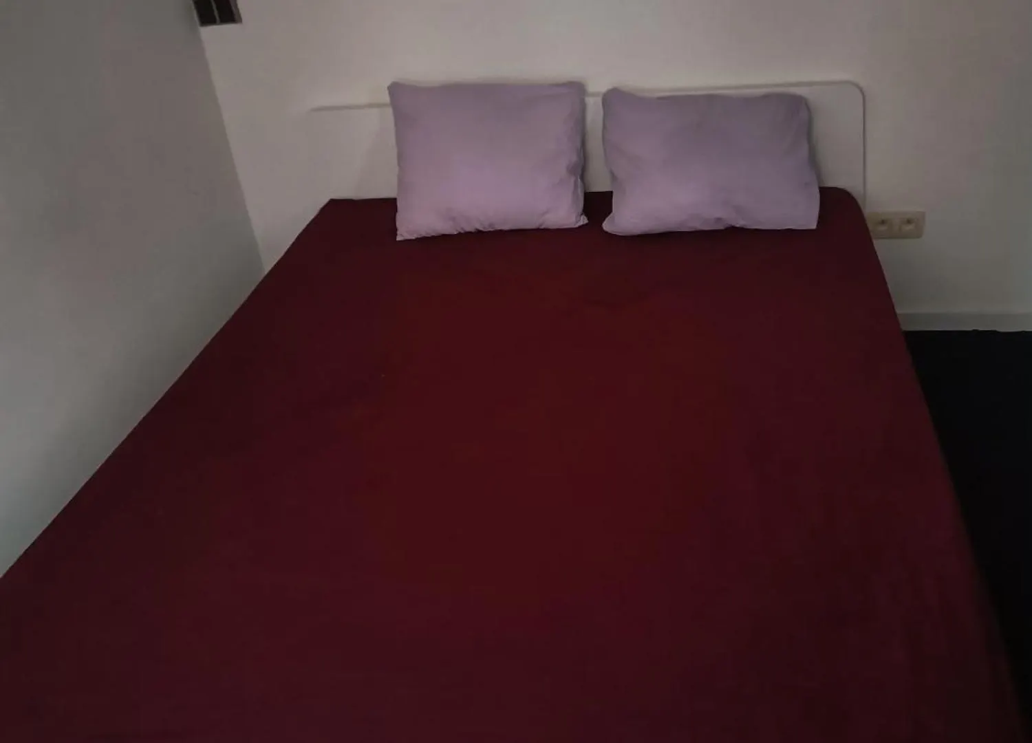 Viktoria Hostel Anversa 0*,